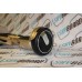 Omen - Champagne 6.5 Inch